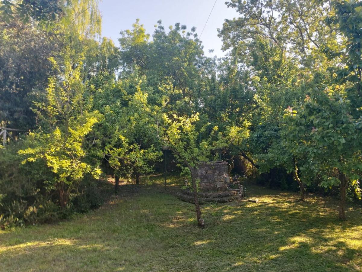 Tenuta Santa Maria Villa Campagnatico Exterior photo